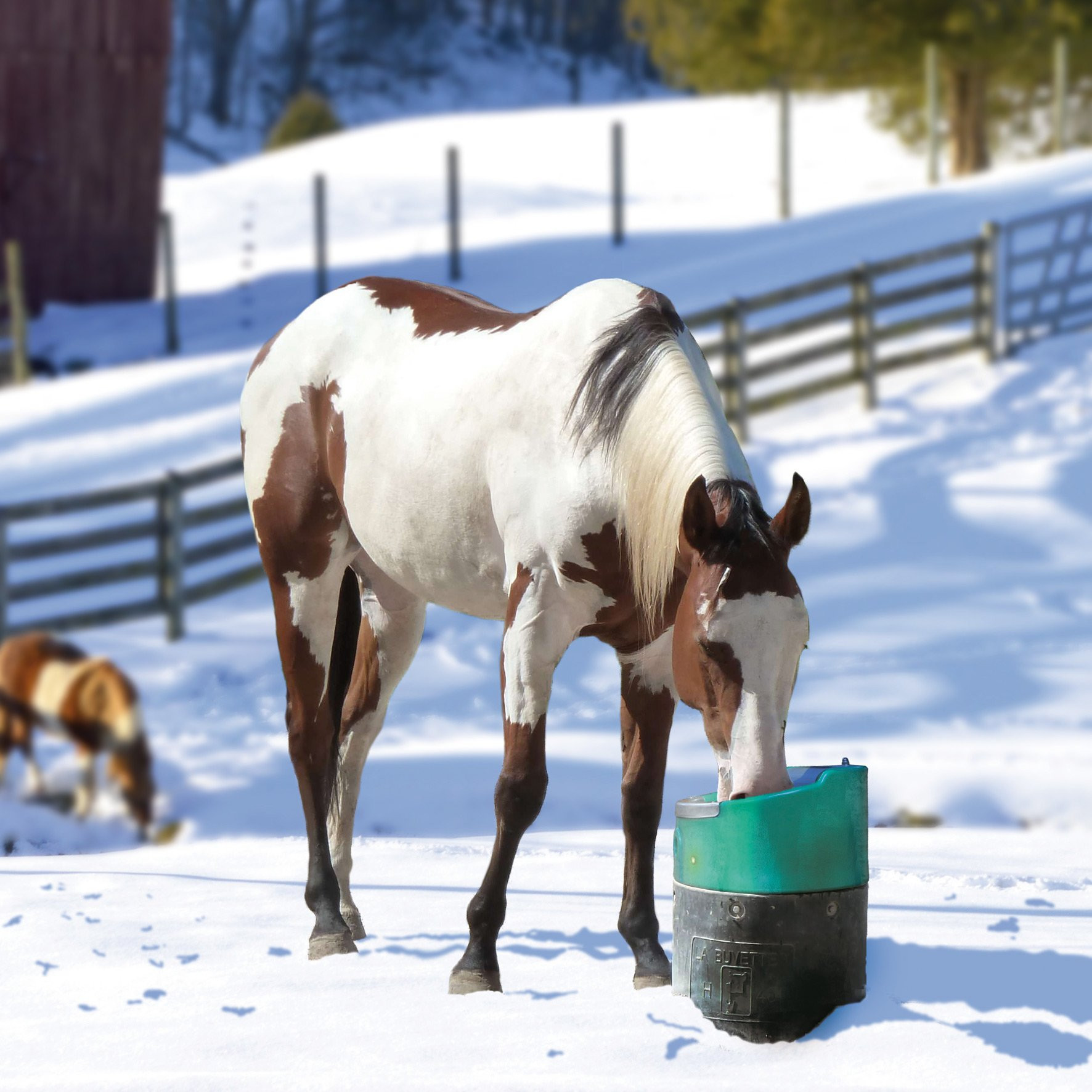 Frost-free drinking bowl with constant water level LAKCHO2