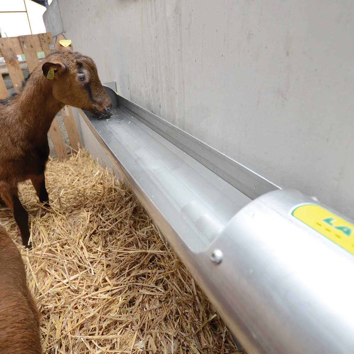 OVITUBE 120 Stainless steel trough for sheep and goats
