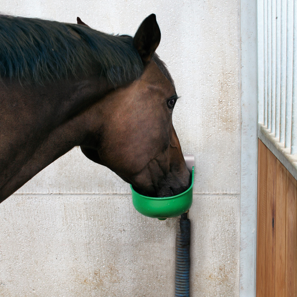 Abreuvoir pour veaux moutons cheval