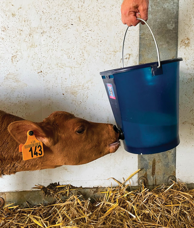 9 liters pail CALF-BUDDY™ #1 with teat and connector